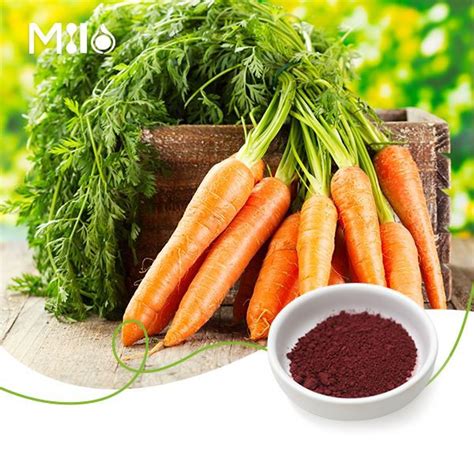 China Pure Beta Carotene Powder Manufacturers Suppliers Factory