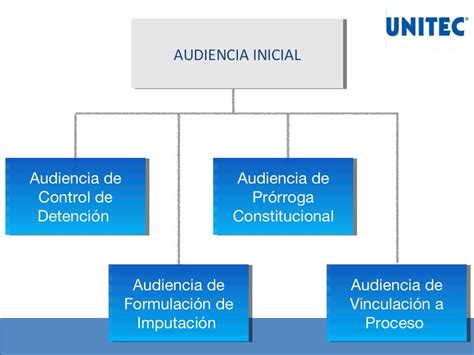 Audiencia Inicial En El Sistema Penal Acusatorio