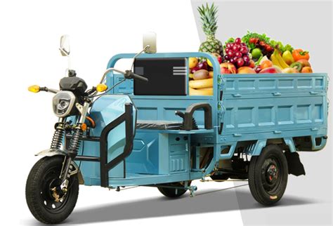 Mastering Safe and Efficient Operation of Electric Three Wheeler Cargo ...