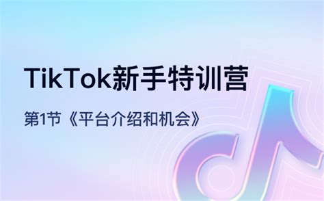 Tiktok培训tiktok新手运营课0基础到精通 Sellerwell