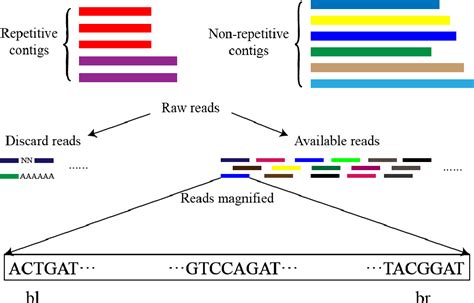 Figure From A Genome Scaffold Algorithm For Extending Repetitive And