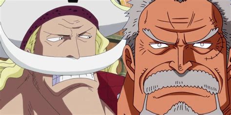 One Piece Explains Weevils Connection With Whitebeard