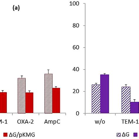 Nitrocefin Assay Denoting Comparative Expression Of Beta Lactamases A