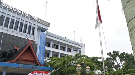 Unri Bikin Sosialisasi Cegah Kekerasan Seksual Di Lingkungan Kampus