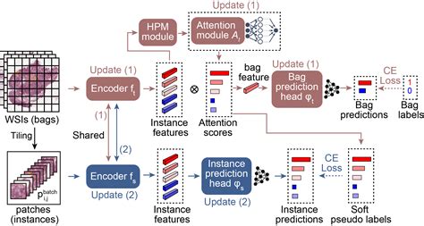 Bi Directional Weakly Supervised Knowledge Distillation For Whole Slide