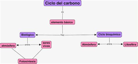 Mapa Conceptual Ciclo Del Carbono Hot Sex Picture