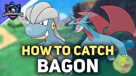 Where To Find Bagon Salamence Pokemon Scarlet And Violet Youtube