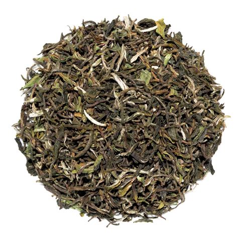 Darjeeling Teesta Valley First Flush India Black Tea Curious Tea