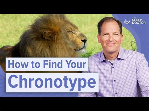 Chronotypes: Definition and Types