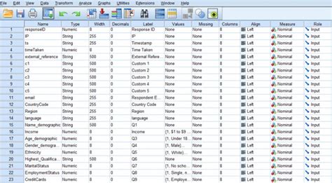 Nombres de variables en IBM SPSS Aprende a mostrarlos fácilmente