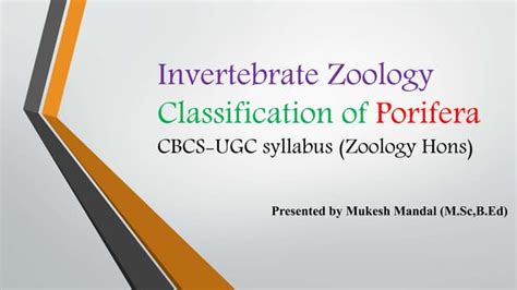 Classification of Porifera | PPT