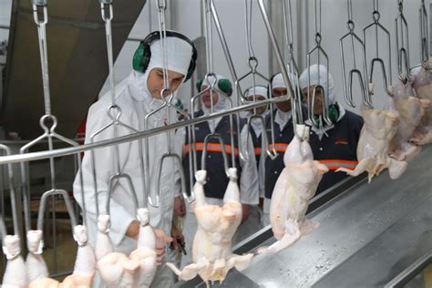 Eua Esperam Elevar Exporta O De Carne De Aves China Em Us Bi Ap S