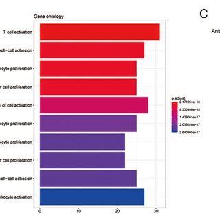 Functional Enrichment Analysis Prognosis Related Immune Degs A Venn