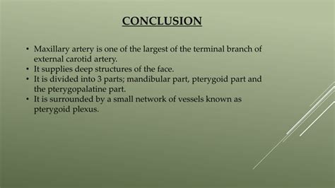 Maxillary Artery PPT