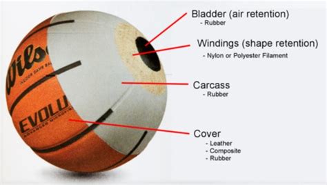 Basketball Buying Guide - Which Basketball is Better for My Program ...