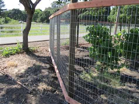 2×4 Welded Wire Arbor Fence Inc A Diamond Certified Company