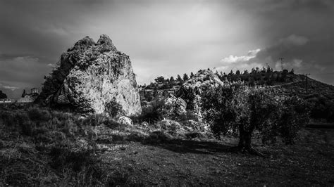 Free Images Landscape Tree Nature Forest Grass Rock Wilderness