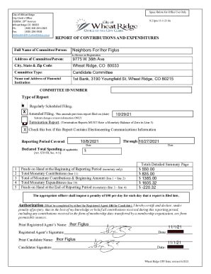 Fillable Online Report Of Contributions And Expenditures Type Of