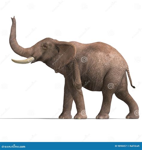 Huge elephant stock illustration. Illustration of brainpower - 9898457