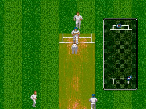 Brian lara cricket game genesis - xlnimfa