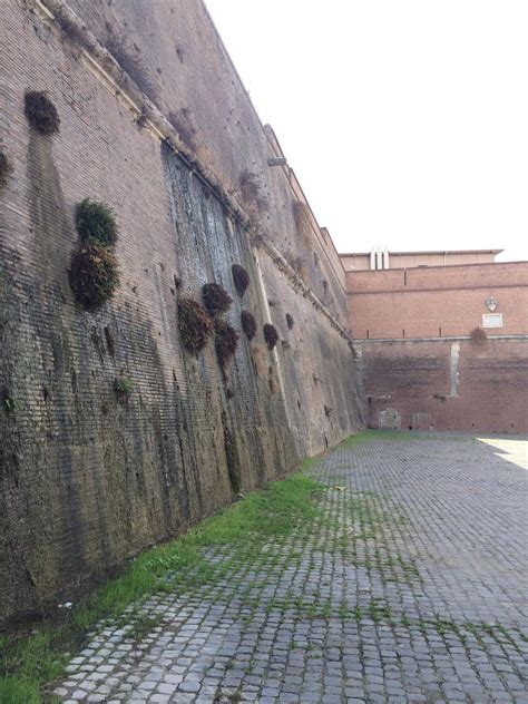 Vatican City/Italy border walls - the parts you don't usually see. [OC ...