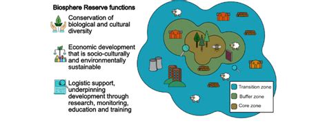 Conceptual Representation Of The Unesco Biosphere Reserve Zonation And