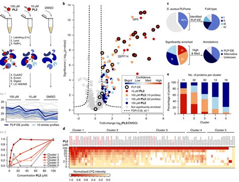 Proteomic Profiling With Pl2 Shows Significant Enrichment Of Diverse