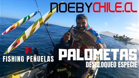 Pesca En Kayak Seguimos En Racha Palometas Y Apa Ao Youtube