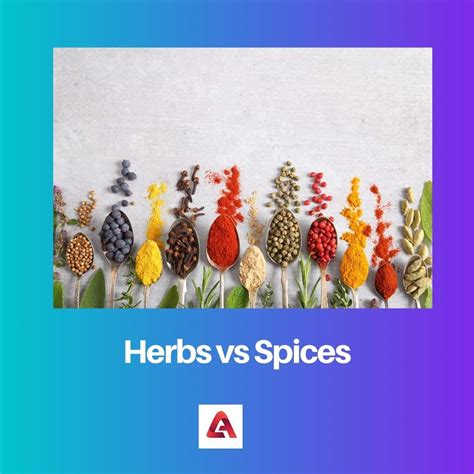 Herbs Vs Spices Difference And Comparison