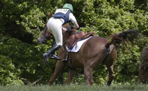 Unscheduled Dismount: How To Fall From A Horse Safely – Horse FactBook