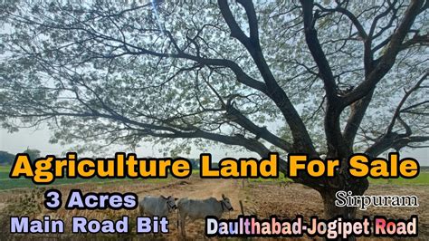 Agriculture Land For Sale Acers Main Road Bit Sirpuram