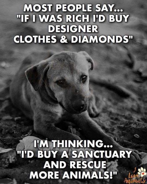 Pin By Jennifer On Pitbull Lover Animal Rescue Quotes