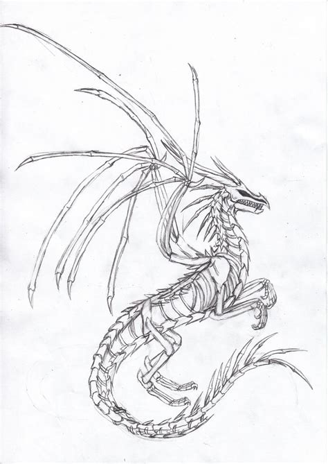 skeleton dragon by dakuness on DeviantArt