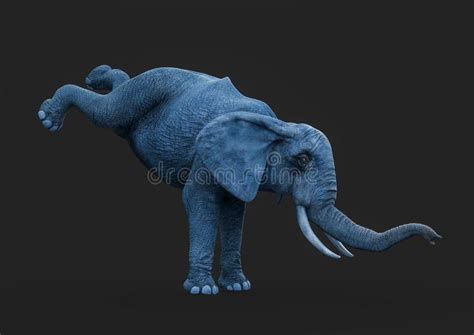 African Elephant is Walking in a Dark Grey Background Side View Stock ...