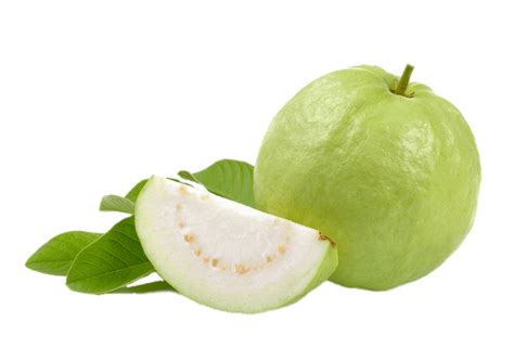 Guava Png Transparent Image Download Size 826x580px