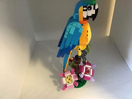 Конструктор LEGO Creator (Креатор) 31136 Экзотический попугай - купить ...