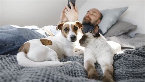 Vivere Con Un Cane O Gatto Aiuta A Preservare La Memoria In Chi Vive Da