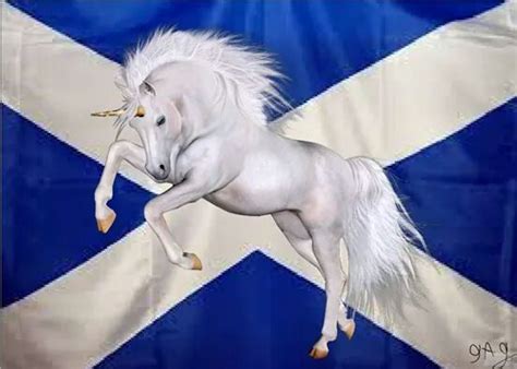 Pob On Twitter Scotland Unicorn Scotlands National Animal Scotland