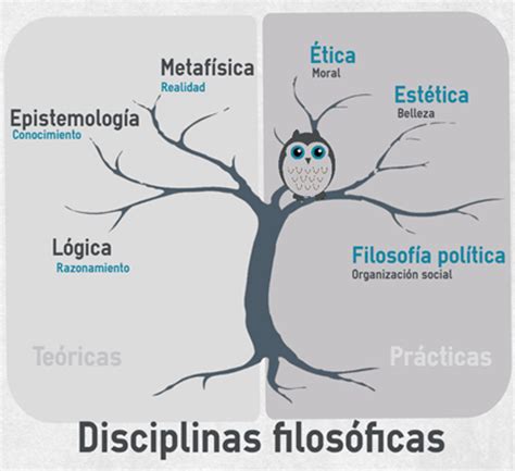 3 Las Disciplinas Del Saber Filosófico El Saber Filosófico El