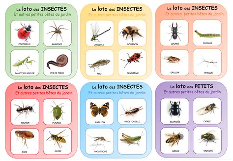 Projet A La D Couverte Des Petites B Tes Du Jardin La Maternelle De