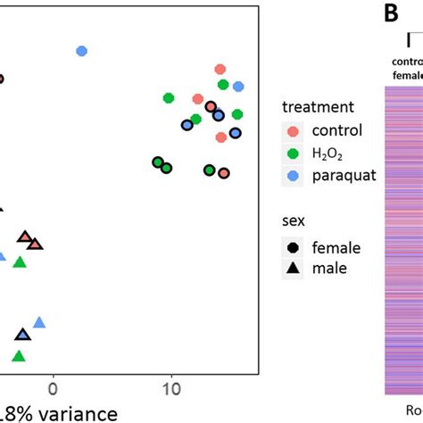 Volcano Plots Showing The Sex Biased Gene Expression Within Each Group Download Scientific