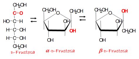 Carbohidratos Estructura C Clica