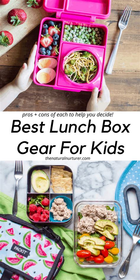 The Best Lunch Box Gear for kids - The Natural Nurturer