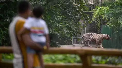 National Zoological Park | Delhi Zoo Ticket Online Booking 2025