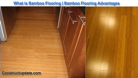 What Is Bamboo Flooring Bamboo Flooring Advantages And Disadvantages