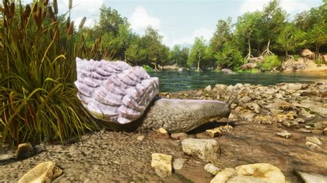 How To Find And Tame An Achatina In Ark Survival Ascended