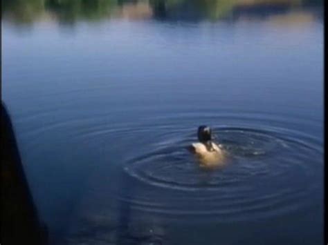 Kathrine Baumann Nude Pics Page