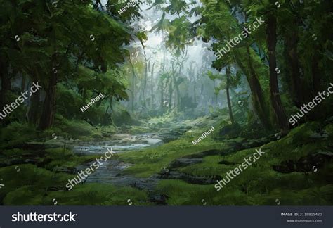 Beautiful Magical Forest Fabulous Trees Forest Landscape Sun Rays