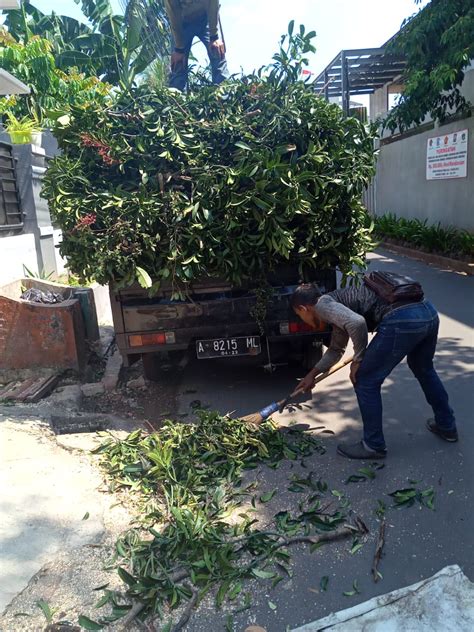 Jasa Tebang Pohon Dki Jakarta Jasa Tebang Pohon Jakarta Utara Jasa