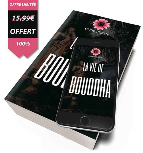 Porte Encens Cascade Petit Bouddha Samarpit Lotus Céleste